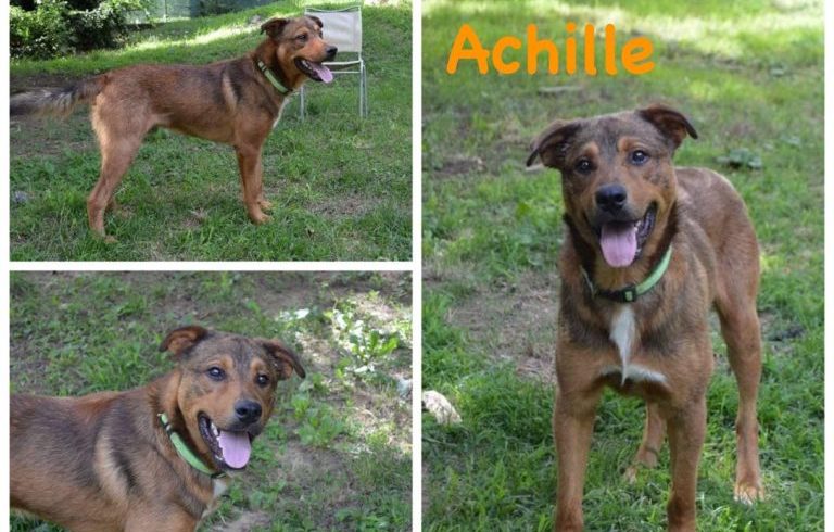 Achille