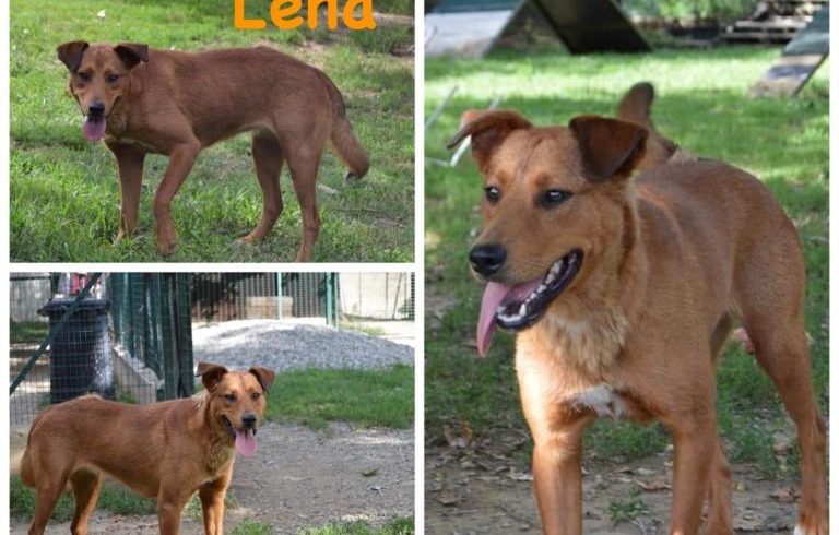 Lena