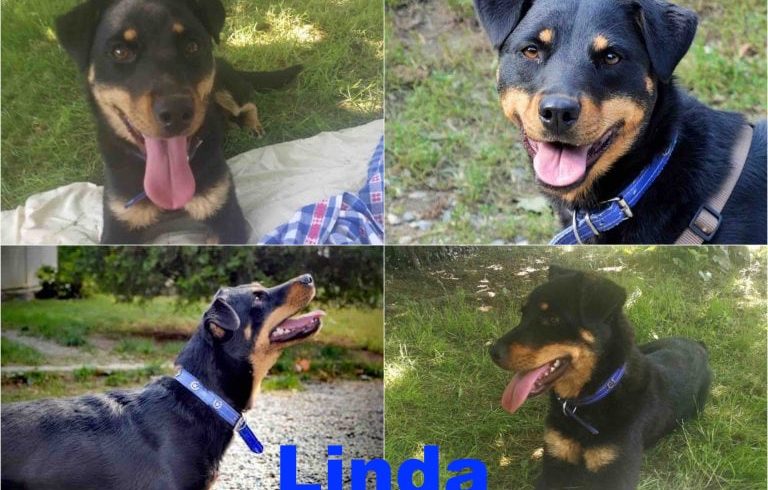 Linda