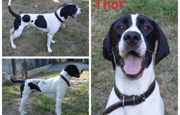 Thor