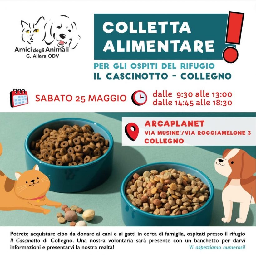 Colletta alimentare sabato 25 maggio. Vi aspettiamo!