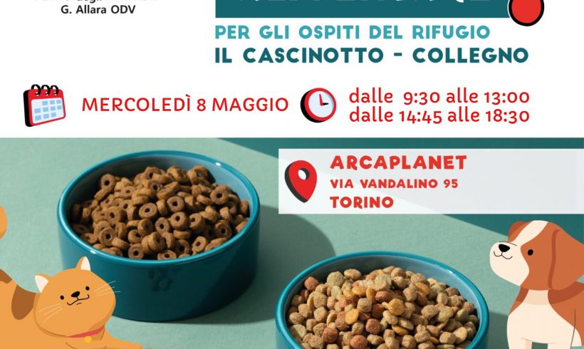 Colletta alimentare mercoledì 8 maggio. Vi aspettiamo!