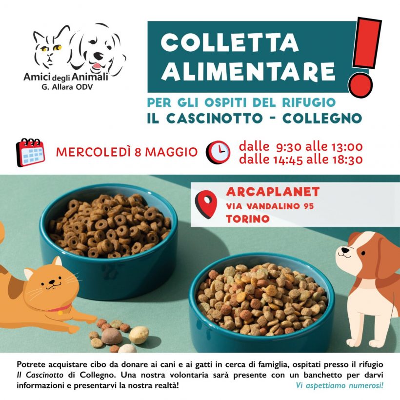 Colletta alimentare mercoledì 8 maggio. Vi aspettiamo!