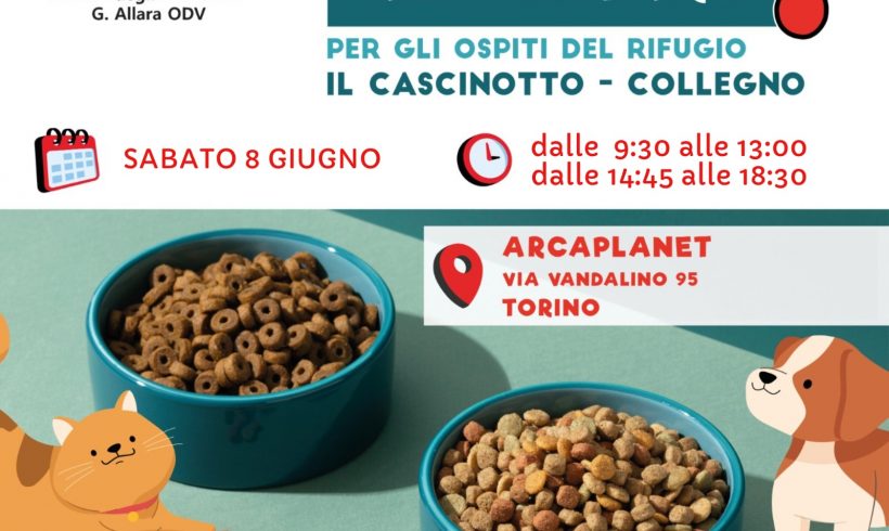 Colletta alimentare sabato 8 giugno. Vi aspettiamo!