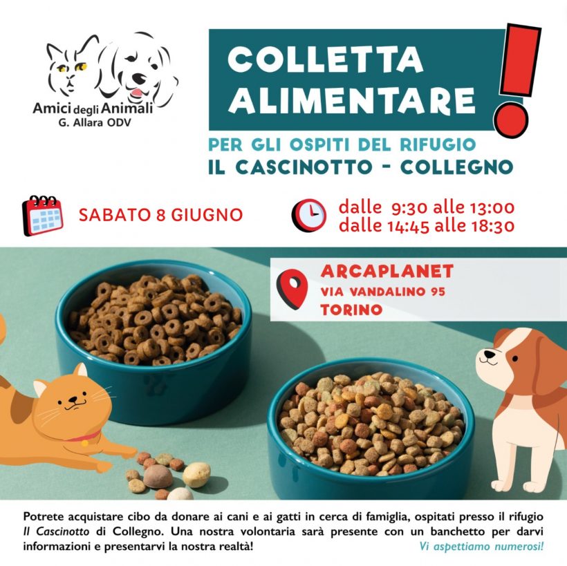 Colletta alimentare sabato 8 giugno. Vi aspettiamo!