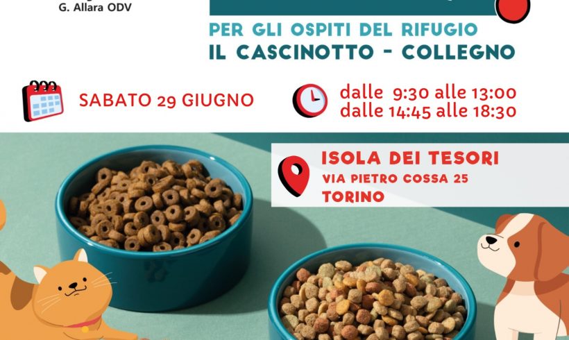 Colletta alimentare sabato 29 giugno. Vi aspettiamo!