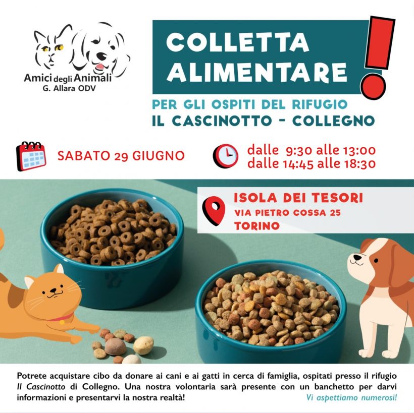 Colletta alimentare sabato 29 giugno. Vi aspettiamo!