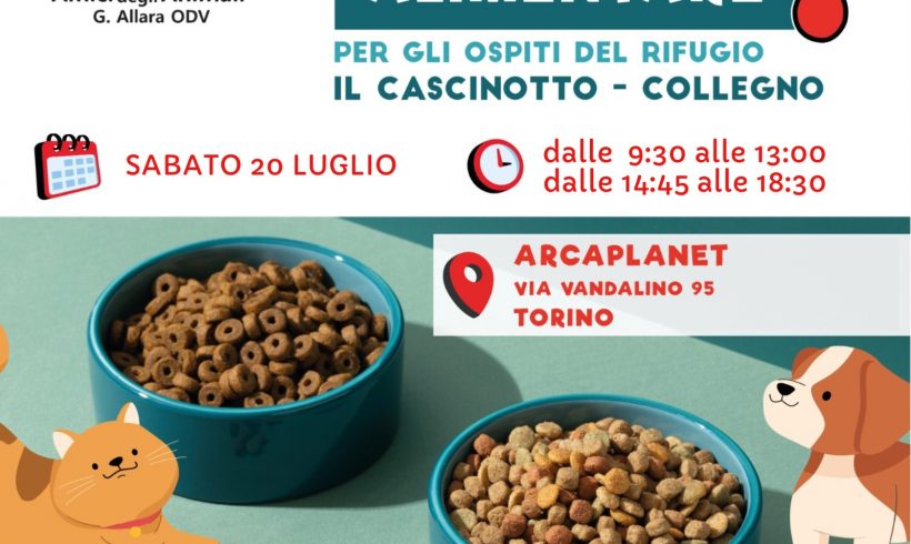 Colletta alimentare sabato 20 luglio. Vi aspettiamo!