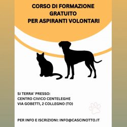 Corso di formazione gratuito per aspiranti volontari!