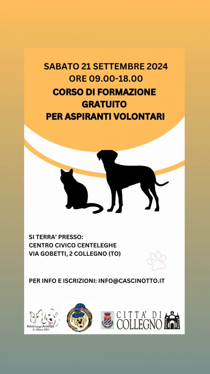 Corso di formazione gratuito per aspiranti volontari!