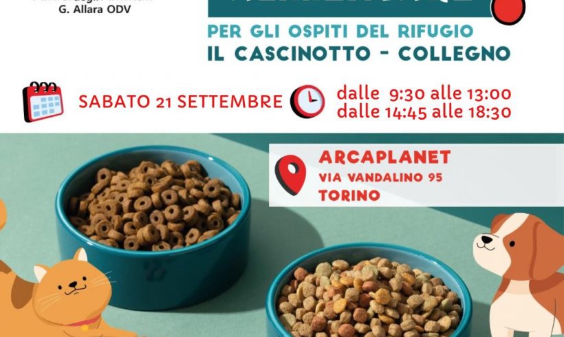 Colletta alimentare sabato 21 settembre. Vi aspettiamo!