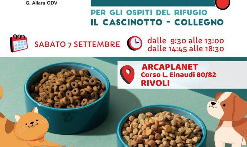 Colletta alimentare sabato 7 settembre. Vi aspettiamo!