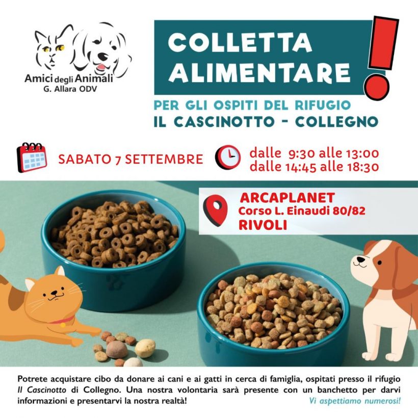 Colletta alimentare sabato 7 settembre. Vi aspettiamo!