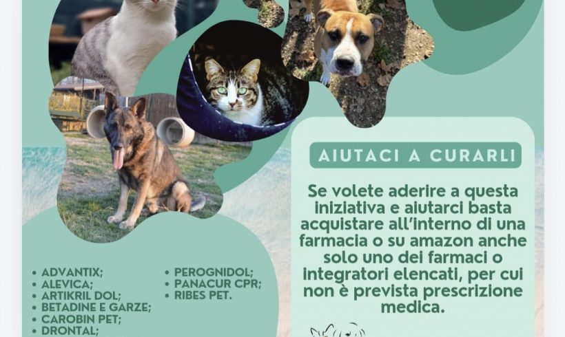 Aiutaci a curarli!