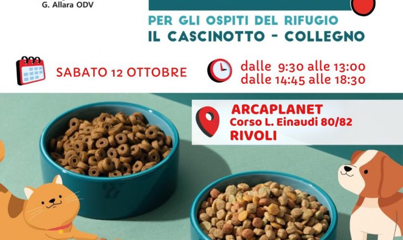 Colletta alimentare sabato 12 ottobre. Vi aspettiamo!