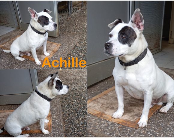 Achille