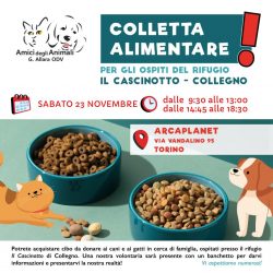 Colletta alimentare sabato 23 novembre. Vi aspettiamo!