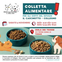 Colletta alimentare sabato 9 novembre. Vi aspettiamo!