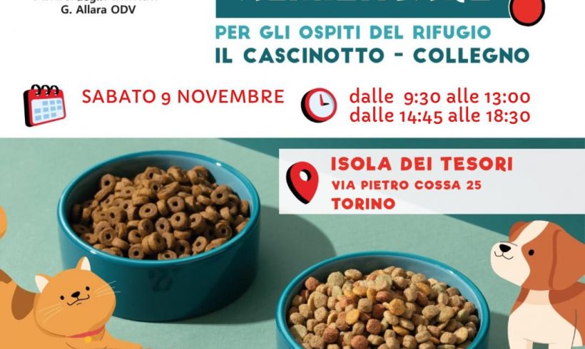 Colletta alimentare sabato 9 novembre. Vi aspettiamo!