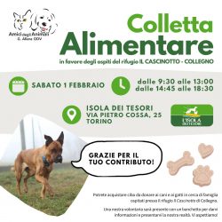 Colletta alimentare sabato 1 febbraio. Vi aspettiamo!