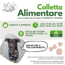 Colletta alimentare sabato 4 gennaio. Vi aspettiamo!