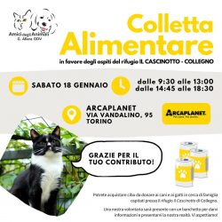 Colletta alimentare sabato 18 gennaio. Vi aspettiamo!